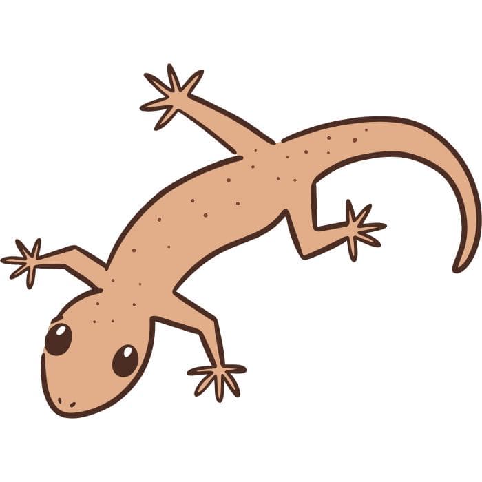 Lagartixa